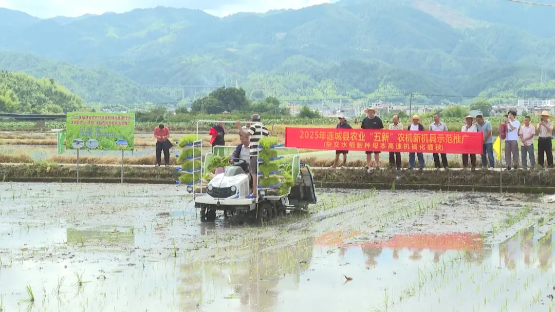 近日，連城縣在姑田鎮舉辦“雜交水稻制種母本高速機械化插秧”技術示范現場會，通過推廣新裝備和強化安全生產宣傳，為即將到來的“雙搶”農忙筑牢基礎。  圖片  在示范現場，一臺星月神八行高速插秧機在田間高效作業，僅需約20分鐘即可完成一畝地的插秧任務，效率較傳統人工插秧提升約30倍。這臺專為雜交水稻制種母本量身定制的裝備，采用寬窄行栽插模式，能將每畝基本苗數精準控制在1.8萬株左右。  圖片     種植大戶 江積輝： 使用制種母本高速插秧機，一畝地人工成本可以節約300元，更關鍵是機器插的株距行距精準，母本抽